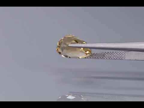 Primary video