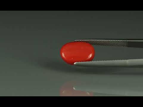 Primary video