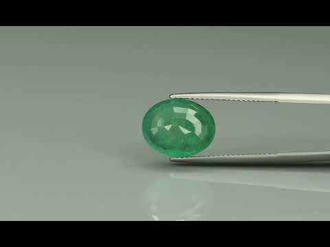 Primary video