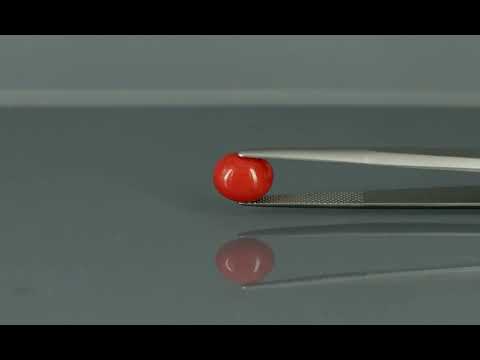 Primary video