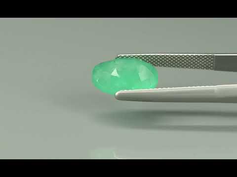Primary video