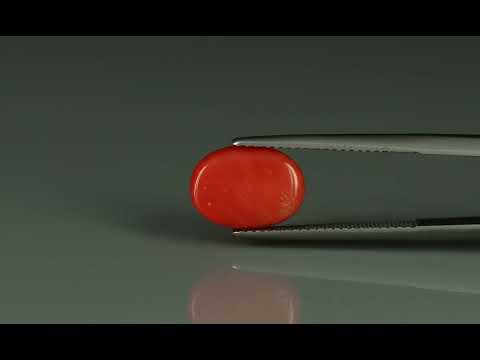 Primary video