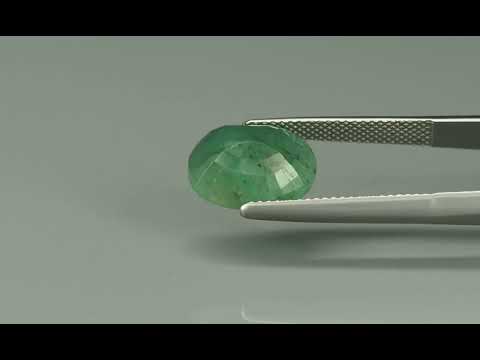 Primary video