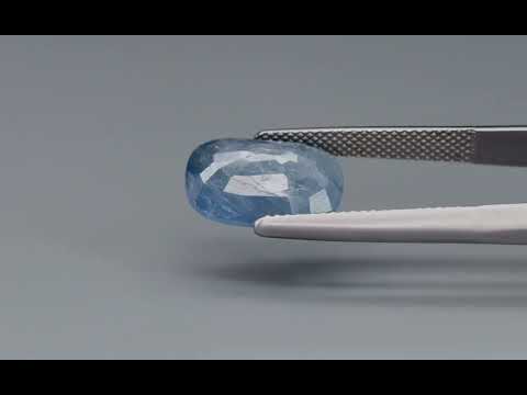 Primary video