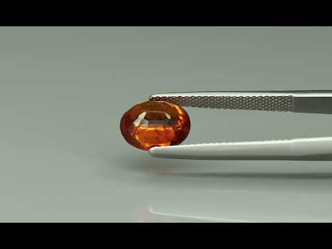 Primary video