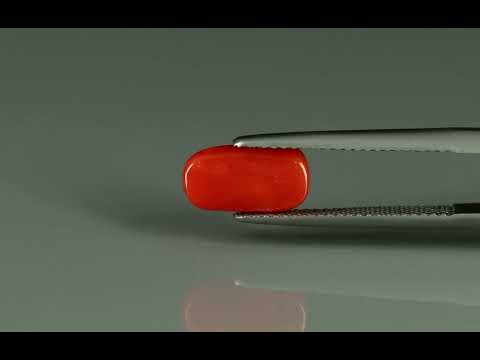 Primary video