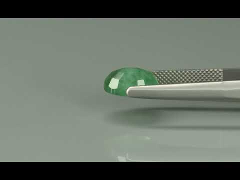 Primary video