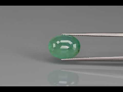 Primary video