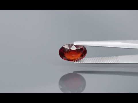 Primary video