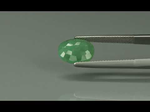 Primary video
