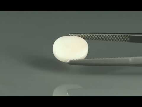 Primary video