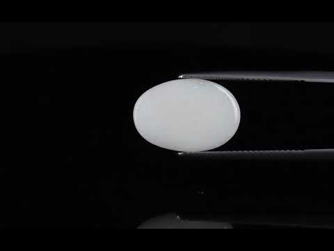 Primary video