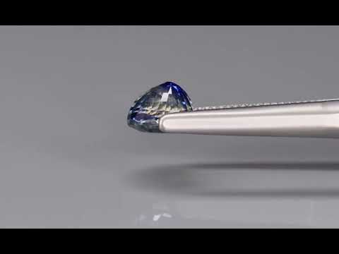 Primary video