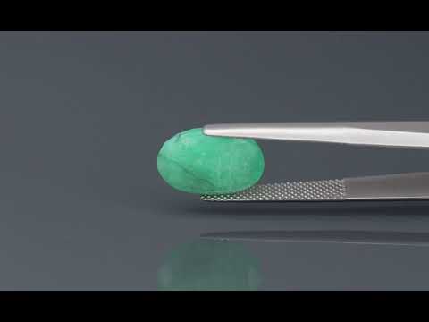 Primary video