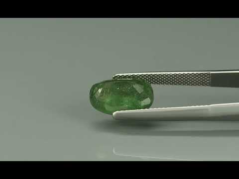 Primary video
