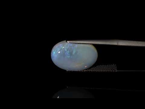 Primary video