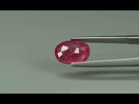 Primary video