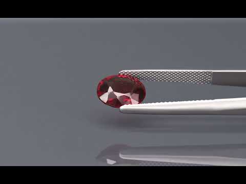 Primary video