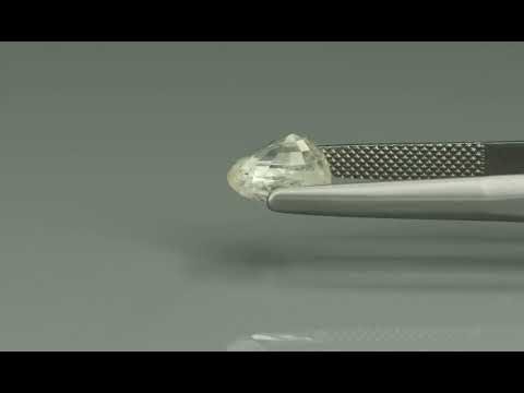 Primary video