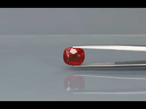 Primary video