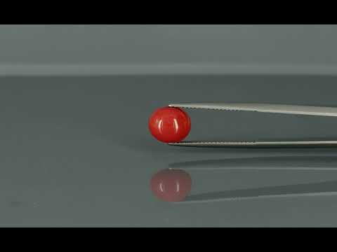 Primary video