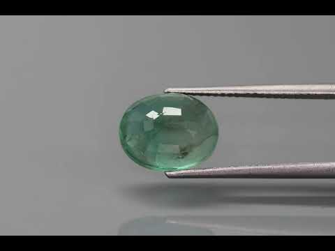 Primary video