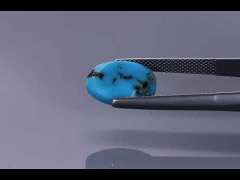 Primary video