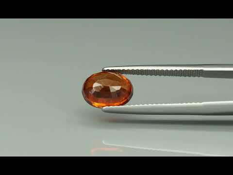 Primary video