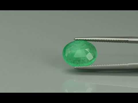 Primary video