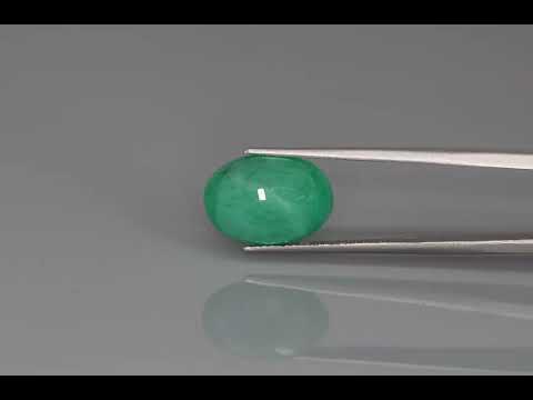 Primary video