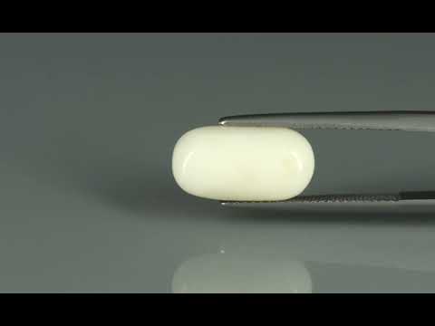 Primary video