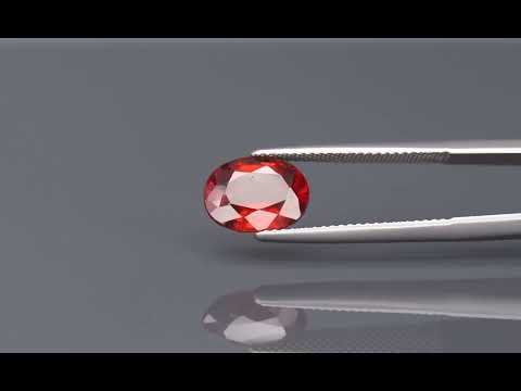 Primary video