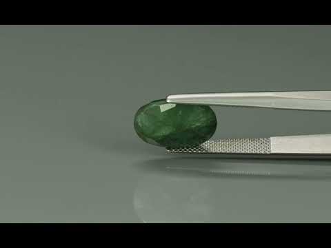 Primary video