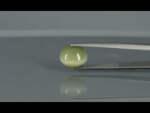 Primary video