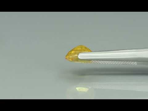 Primary video