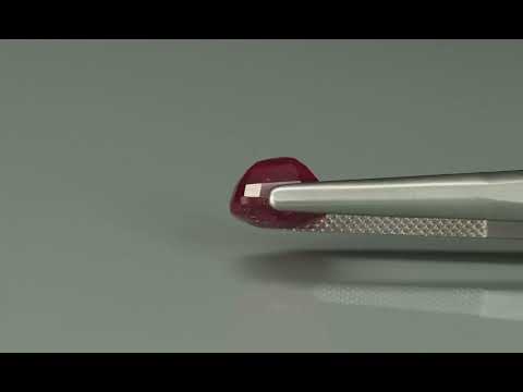 Primary video