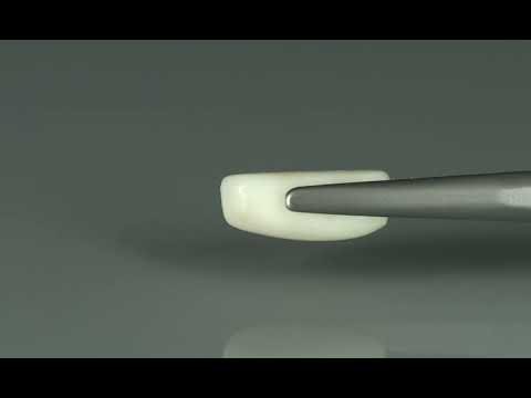 Primary video