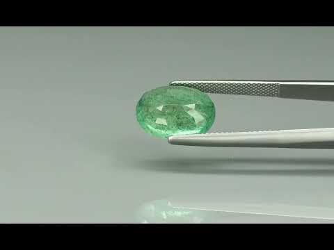 Primary video