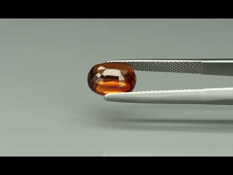 Primary video
