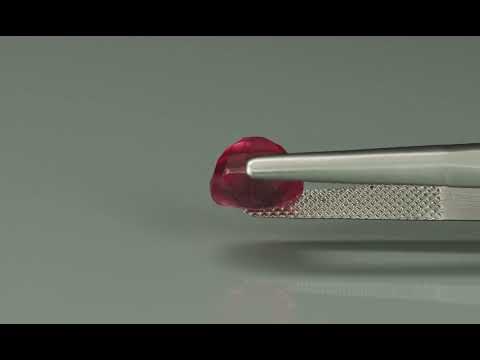 Primary video