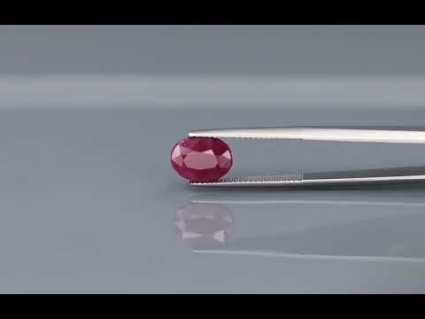 Primary video