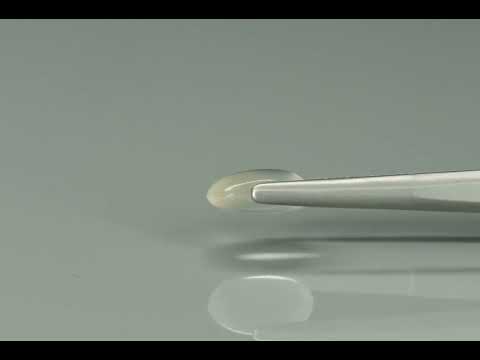 Primary video