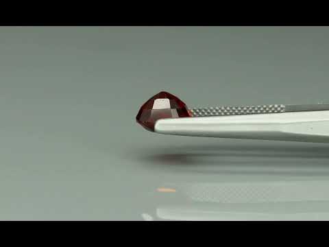Primary video