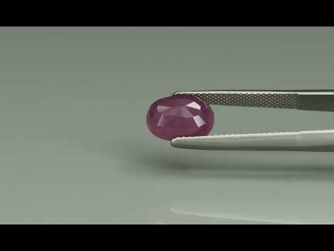 Primary video