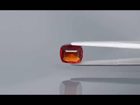 Primary video