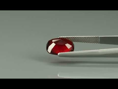 Primary video
