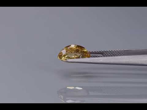 Primary video