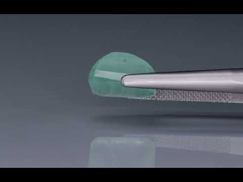 Primary video