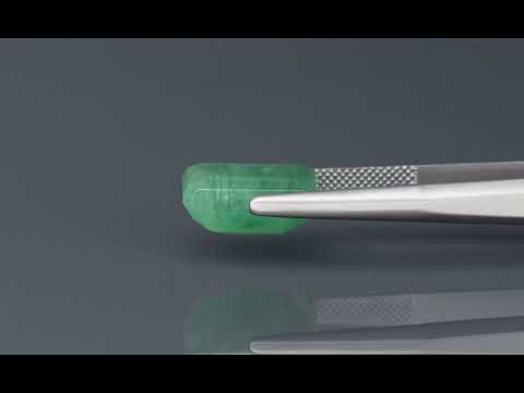 Primary video