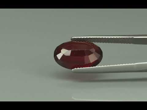 Primary video